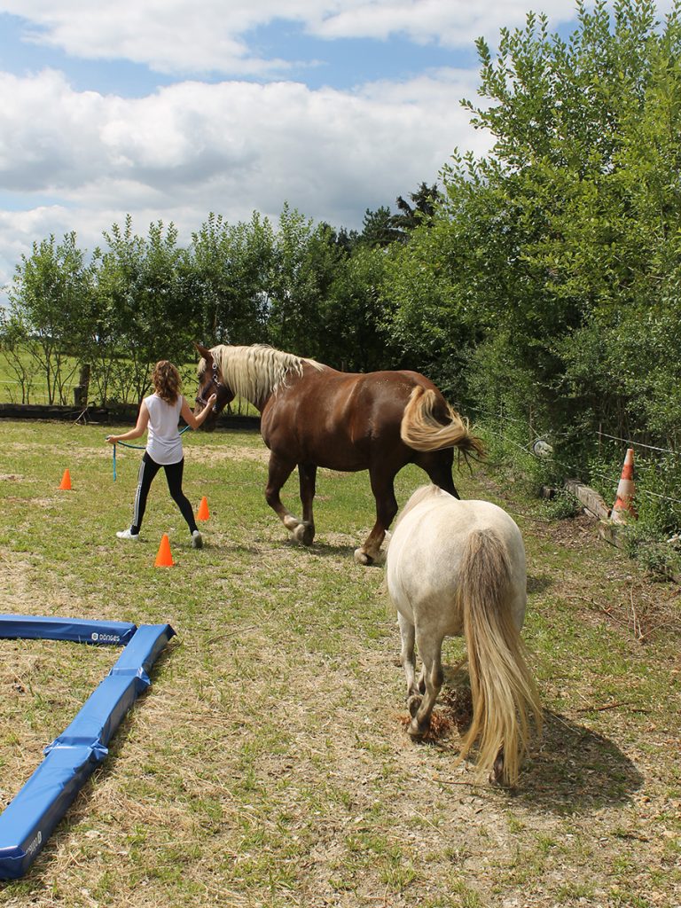 maedchen geht parcour3 768x1024 - Pferdegestütztes Coaching